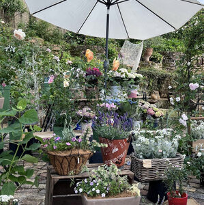 2024 6 月 営業日・イベント